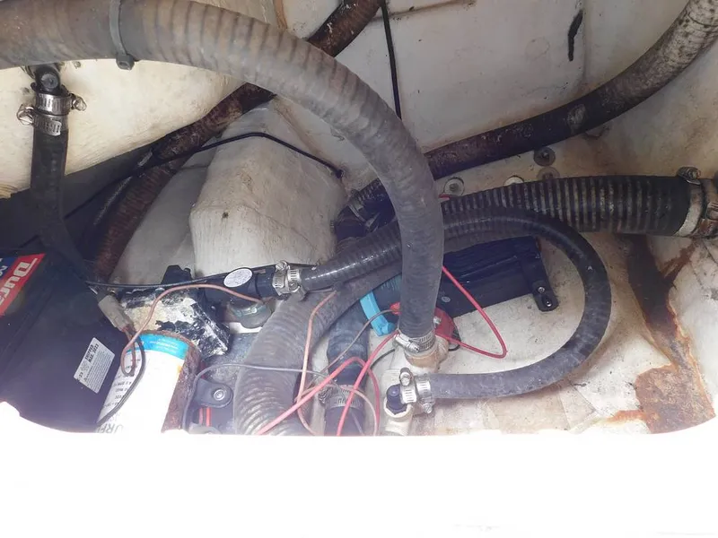 Slide: The Image of Sailfish 275DC 2016 - 15417286