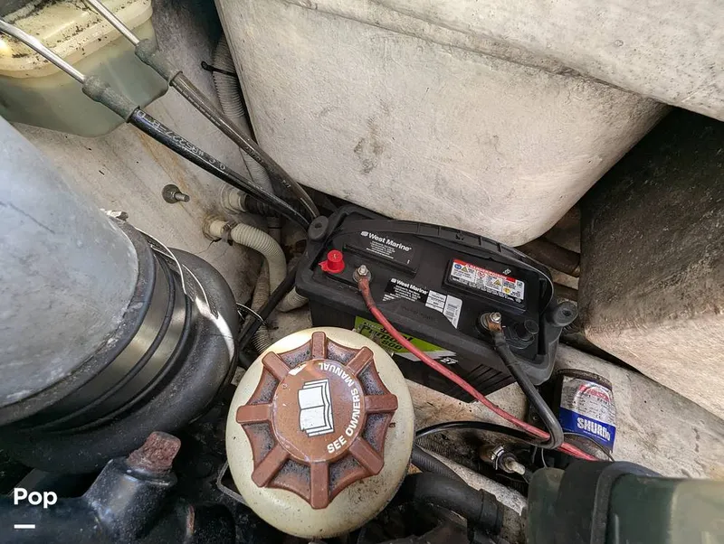 Slide: The Image of Panga Apex 26CC 2007 - 15438438