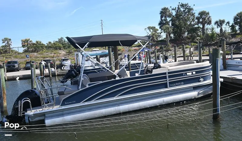 Slide: The Image of Harris 230CR 2024 - 15450088