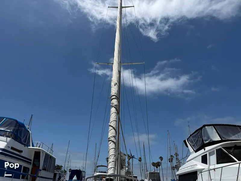 Slide: The Image of Tanton 42 1977 - 15741914