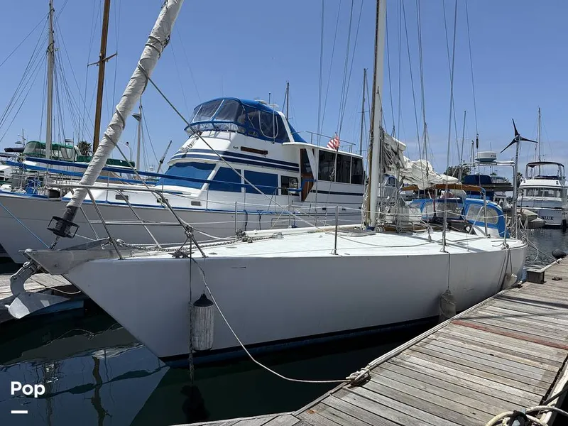 Slide: The Image of Tanton 42 1977 - 15741908