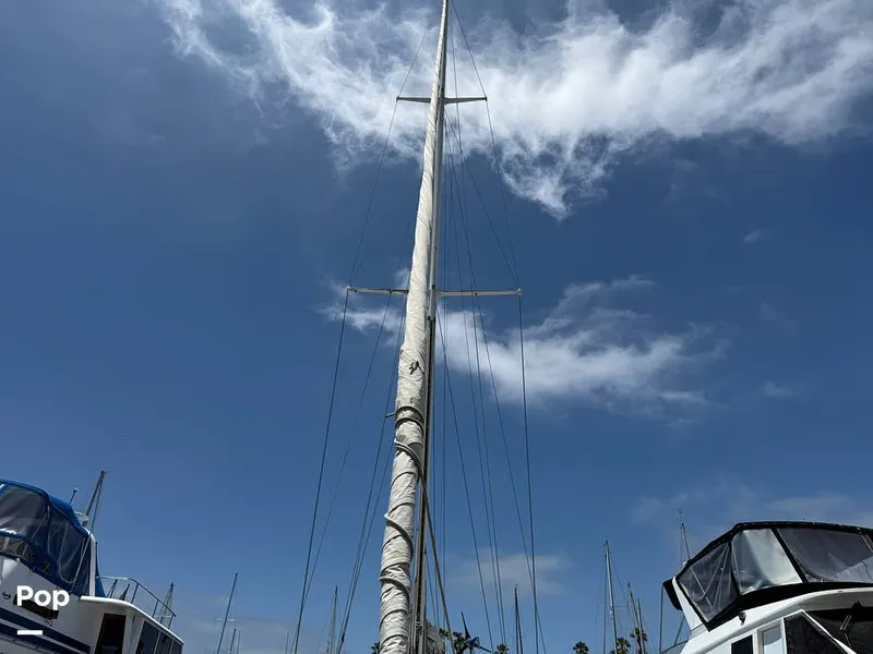 Slide: The Image of Tanton 42 1977 - 15741915