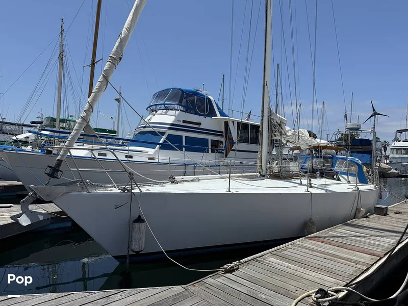 Slide: The Image of Tanton 42 1977 - 15741916