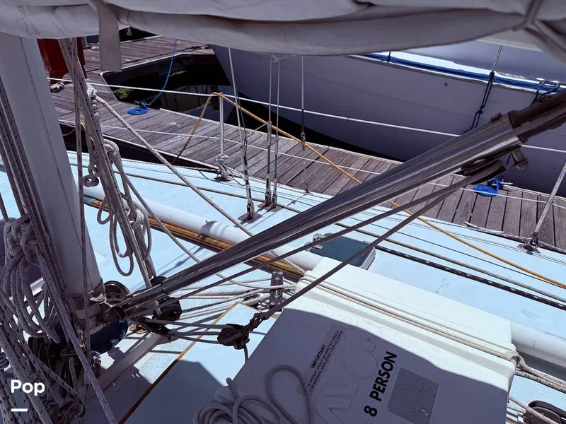 Slide: The Image of Tanton 42 1977 - 15741958