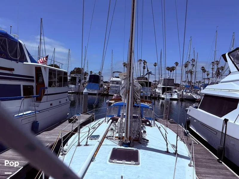 Slide: The Image of Tanton 42 1977 - 15741965