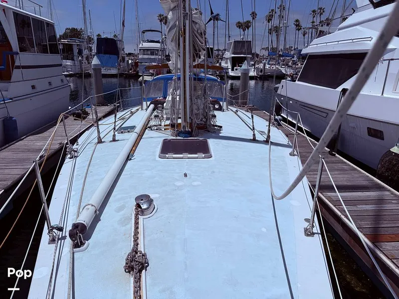 Slide: The Image of Tanton 42 1977 - 15741966