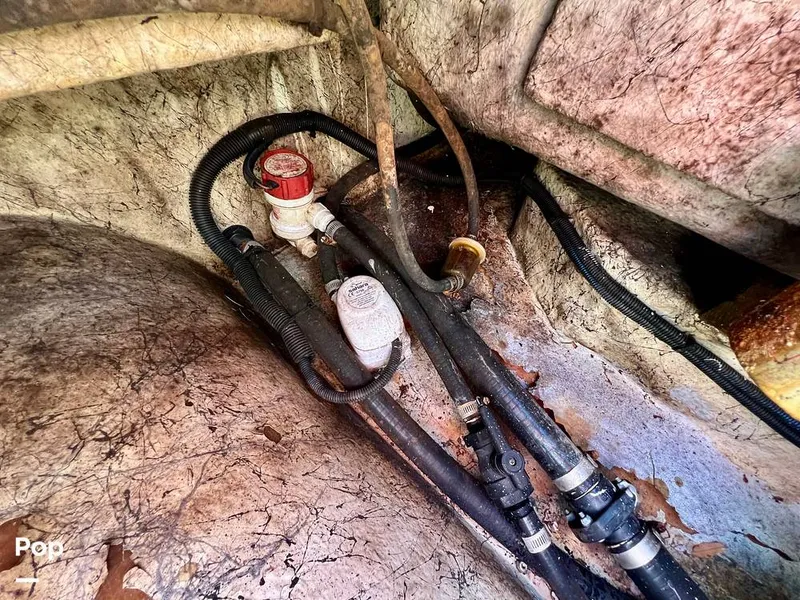 Slide: The Image of Bossman Xtreme 20 2020 - 15418498