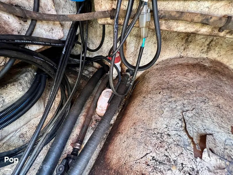 Slide: The Image of Bossman Xtreme 20 2020 - 15418499