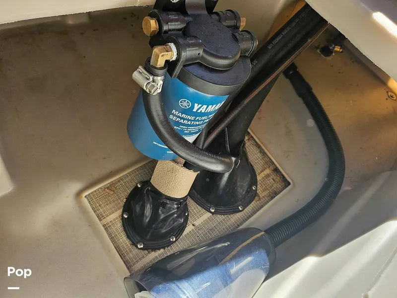 Slide: The Image of Bennington SX22 2016 - 15480017