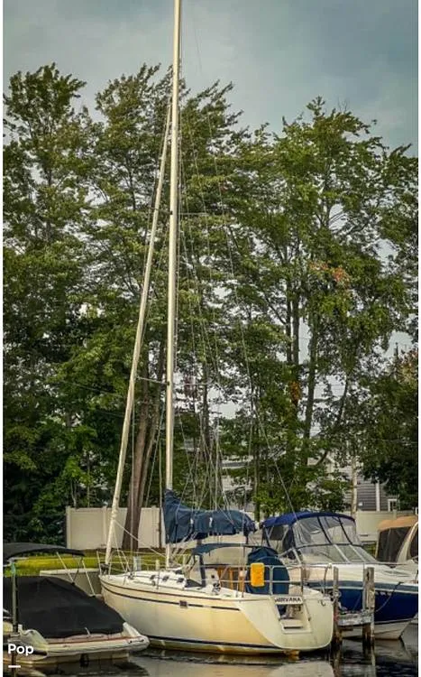 Slide: The Image of Hunter 33.5 1988 - 15407652