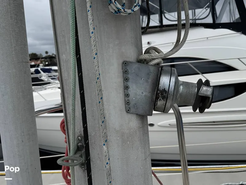 Slide: The Image of Morgan 45-4 Nelson-Marek 1985 - 15431642