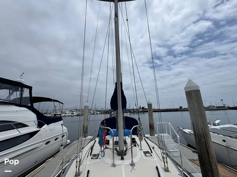 Slide: The Image of Morgan 45-4 Nelson-Marek 1985 - 15431646