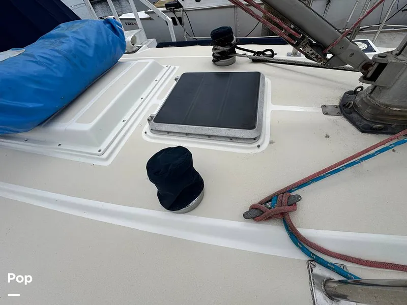 Slide: The Image of Morgan 45-4 Nelson-Marek 1985 - 15431649