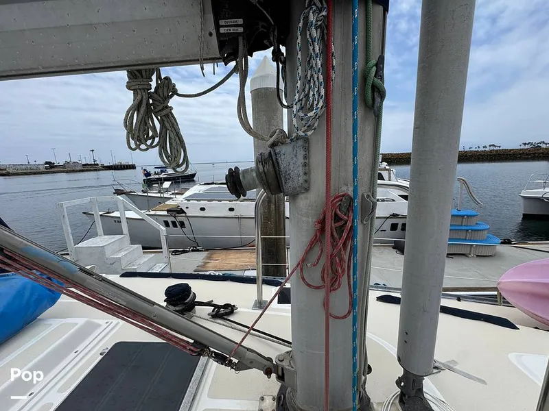 Slide: The Image of Morgan 45-4 Nelson-Marek 1985 - 15431651