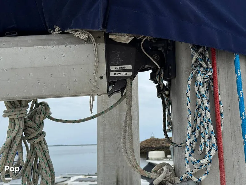 Slide: The Image of Morgan 45-4 Nelson-Marek 1985 - 15431652