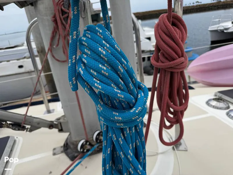 Slide: The Image of Morgan 45-4 Nelson-Marek 1985 - 15431653