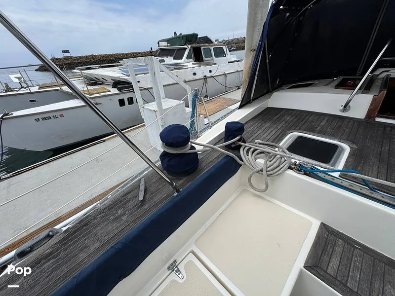 Slide: The Image of Morgan 45-4 Nelson-Marek 1985 - 15431660