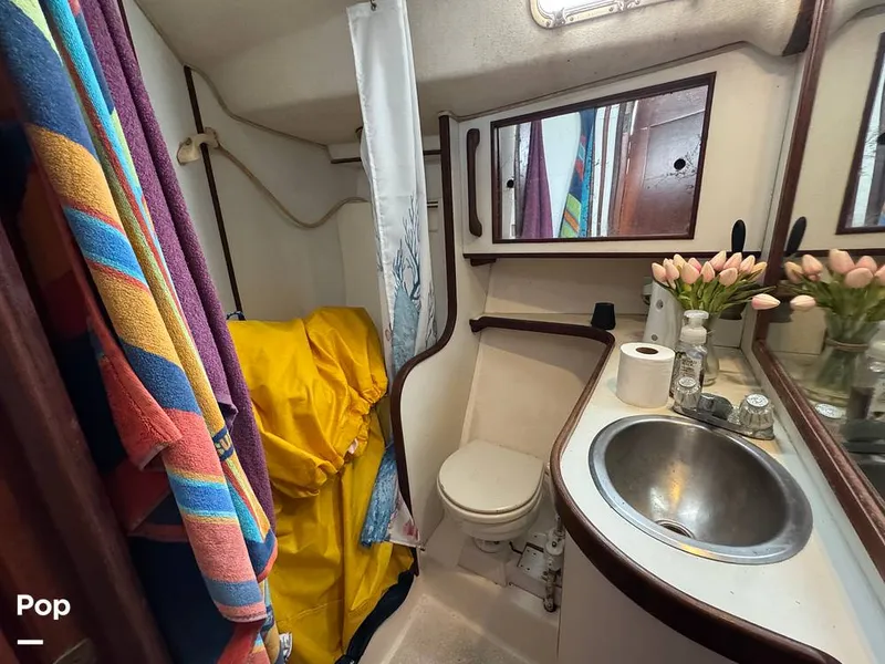 Slide: The Image of Morgan 45-4 Nelson-Marek 1985 - 15430152