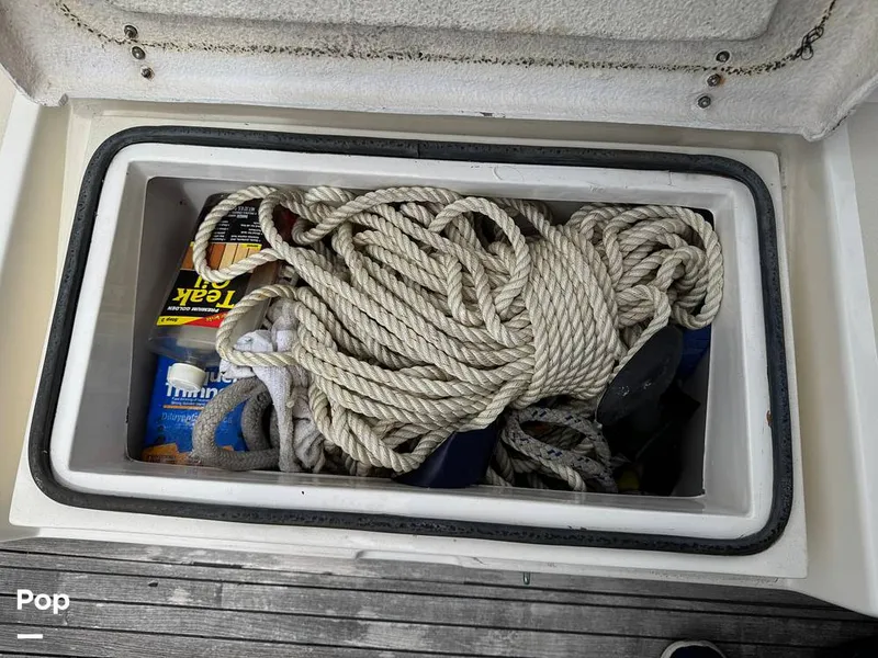 Slide: The Image of Morgan 45-4 Nelson-Marek 1985 - 15431673