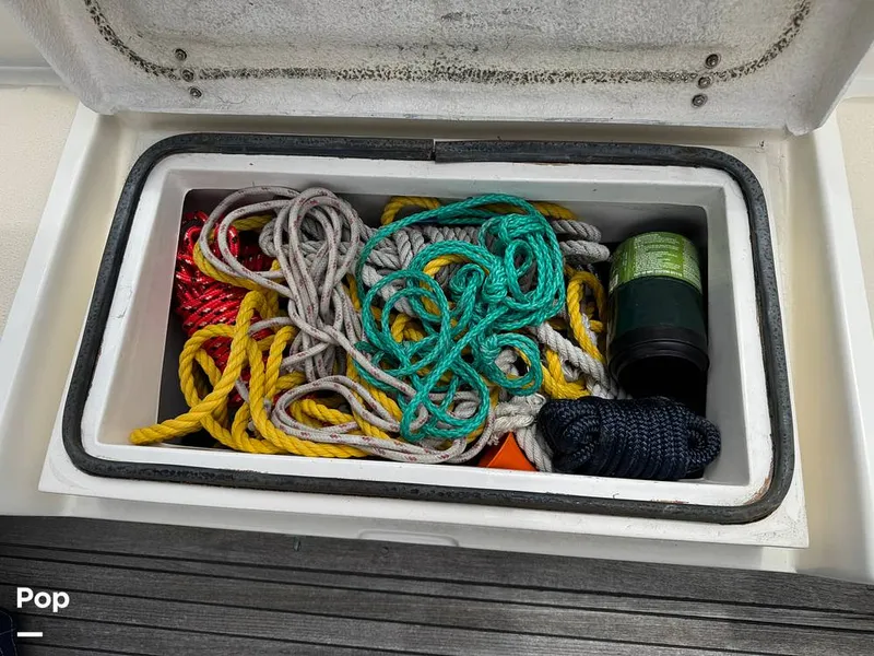 Slide: The Image of Morgan 45-4 Nelson-Marek 1985 - 15431672