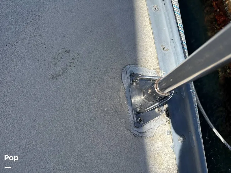 Slide: The Image of Morgan 45-4 Nelson-Marek 1985 - 16311851