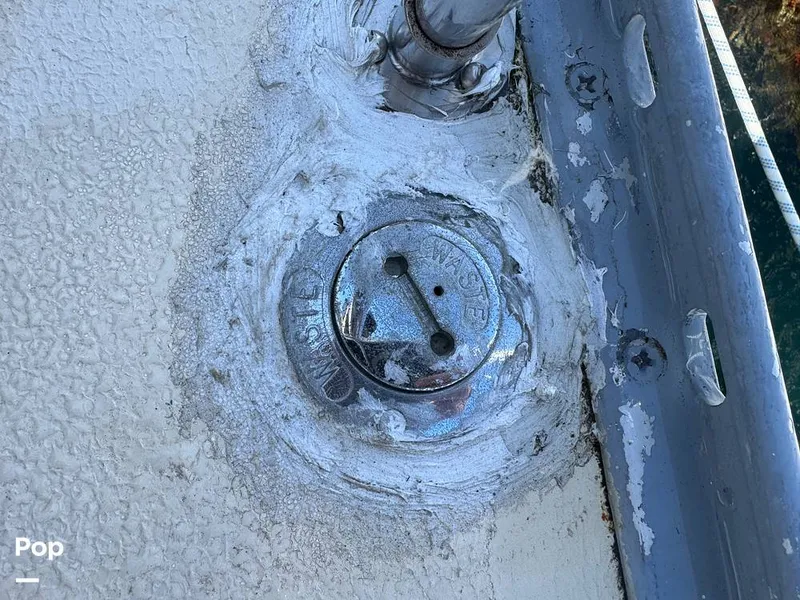 Slide: The Image of Morgan 45-4 Nelson-Marek 1985 - 16311853