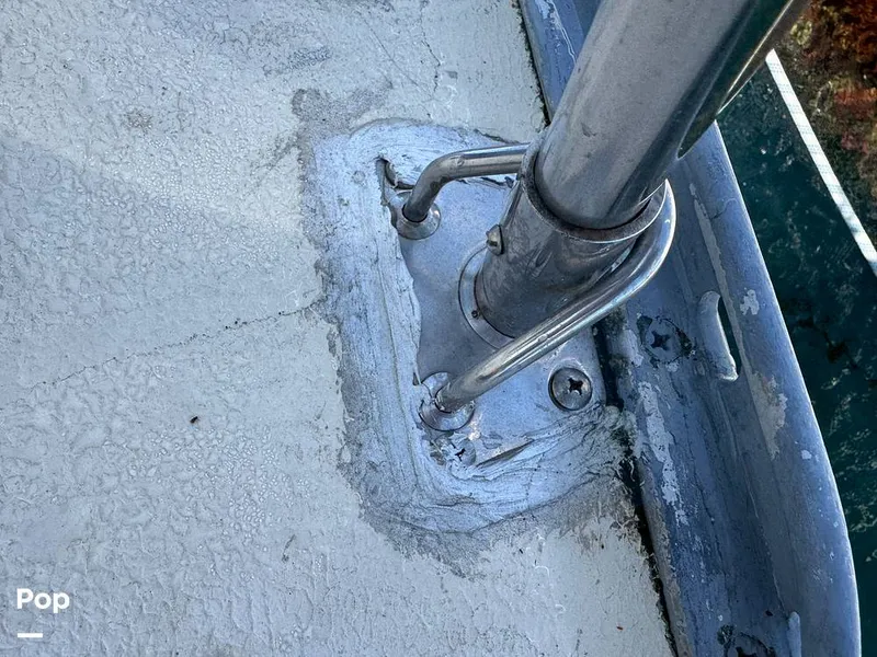 Slide: The Image of Morgan 45-4 Nelson-Marek 1985 - 16311854