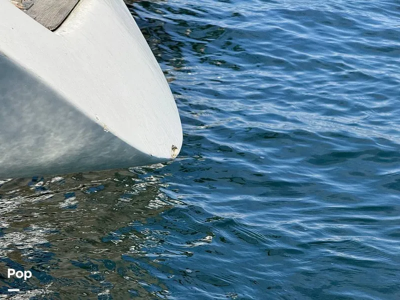 Slide: The Image of Morgan 45-4 Nelson-Marek 1985 - 16311855