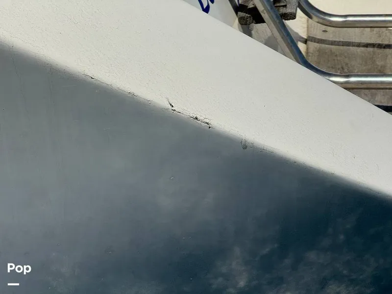 Slide: The Image of Morgan 45-4 Nelson-Marek 1985 - 16311856