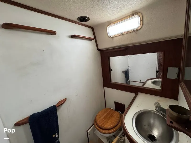 Slide: The Image of Morgan 45-4 Nelson-Marek 1985 - 15430192