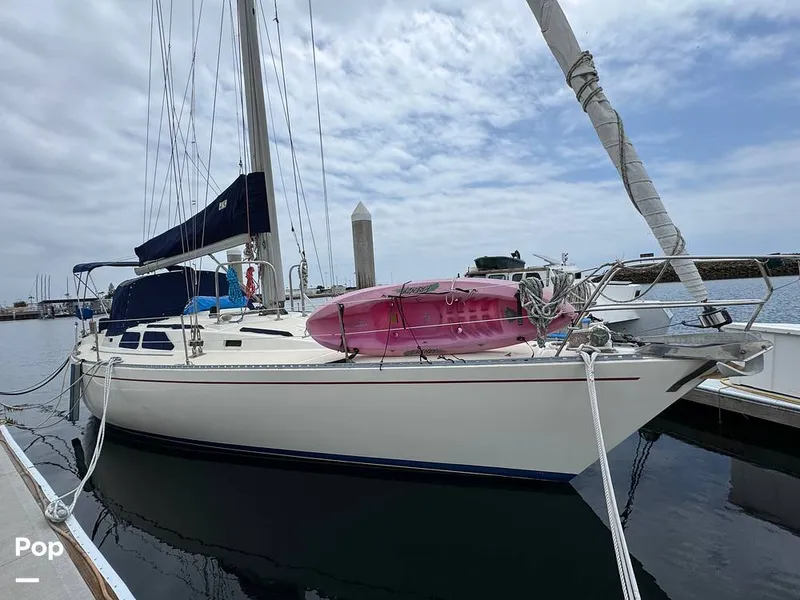 Slide: The Image of Morgan 45-4 Nelson-Marek 1985 - 15431613