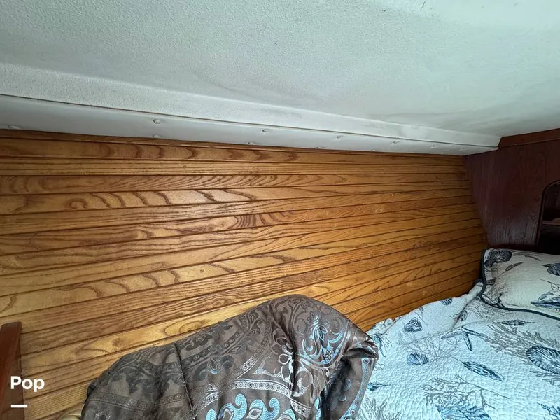 Slide: The Image of Morgan 45-4 Nelson-Marek 1985 - 15430143