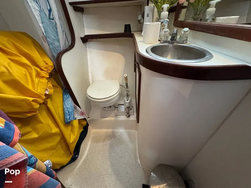 Slide: The Image of Morgan 45-4 Nelson-Marek 1985 - 15430153