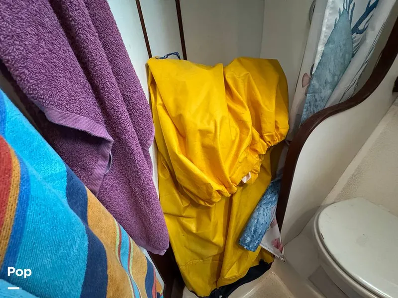 Slide: The Image of Morgan 45-4 Nelson-Marek 1985 - 15430154