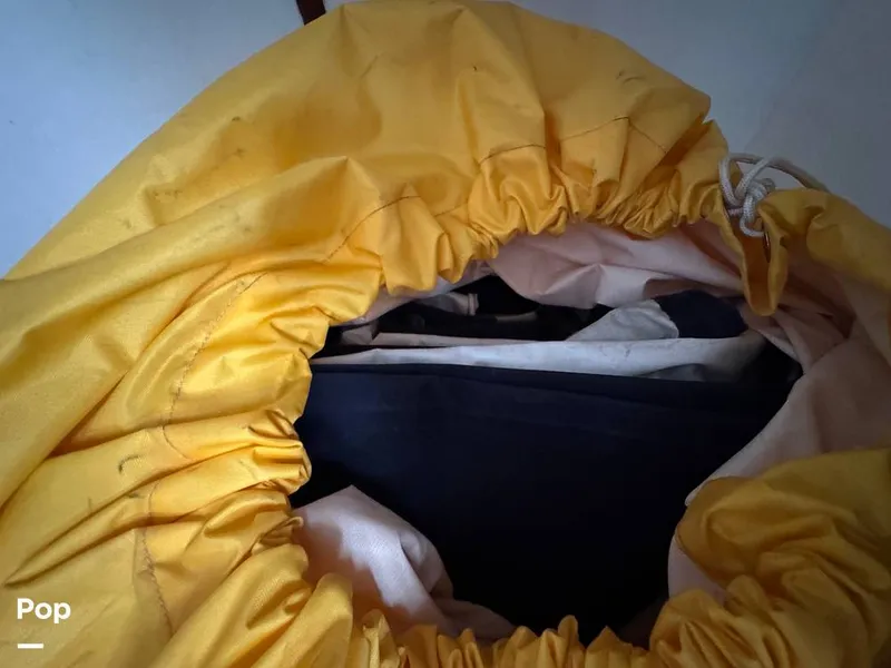 Slide: The Image of Morgan 45-4 Nelson-Marek 1985 - 15430156