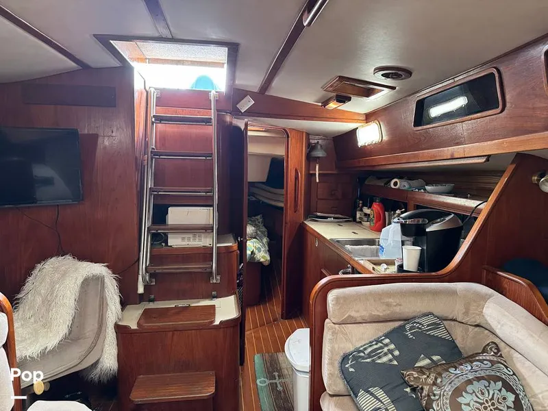 Slide: The Image of Morgan 45-4 Nelson-Marek 1985 - 15430166