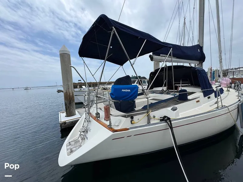 Slide: The Image of Morgan 45-4 Nelson-Marek 1985 - 15431619