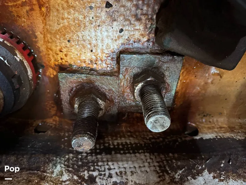 Slide: The Image of Morgan 45-4 Nelson-Marek 1985 - 15430177