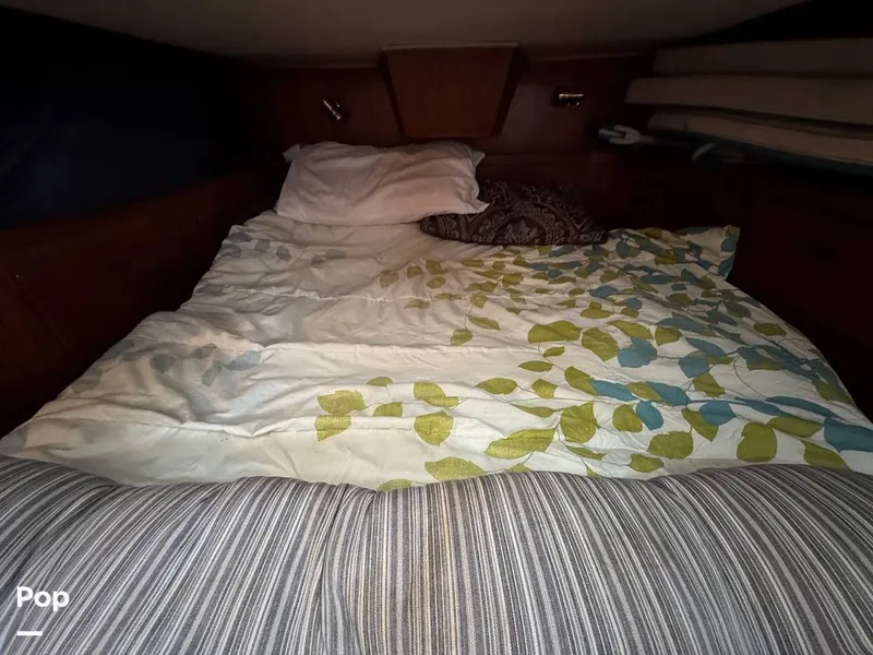 Slide: The Image of Morgan 45-4 Nelson-Marek 1985 - 15430188