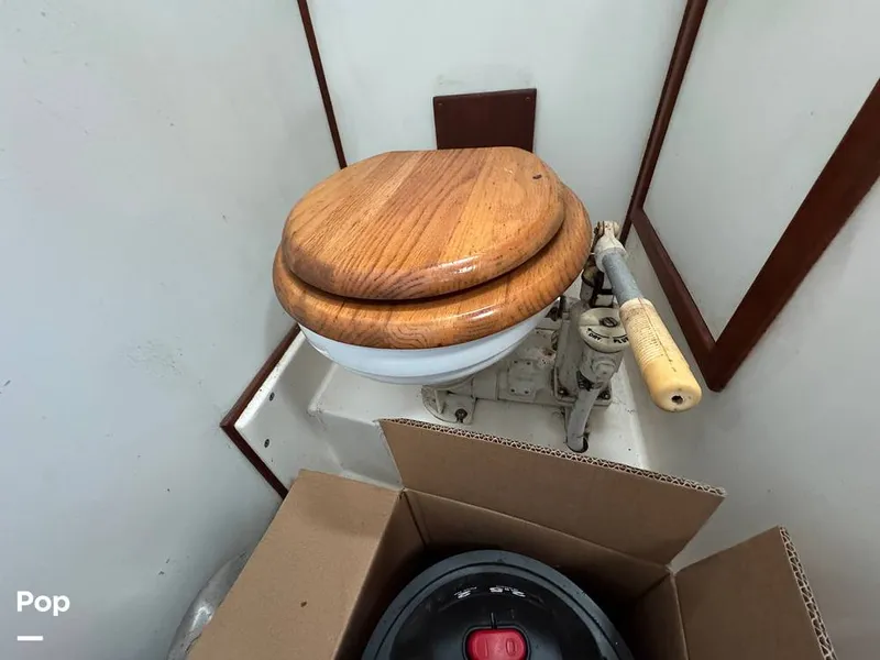 Slide: The Image of Morgan 45-4 Nelson-Marek 1985 - 15430194