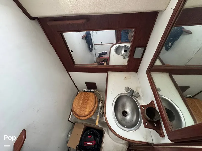 Slide: The Image of Morgan 45-4 Nelson-Marek 1985 - 15430195