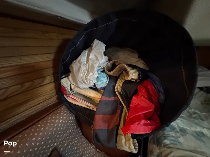 Slide: The Image of Morgan 45-4 Nelson-Marek 1985 - 15430197