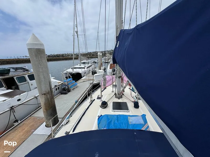 Slide: The Image of Morgan 45-4 Nelson-Marek 1985 - 15431604