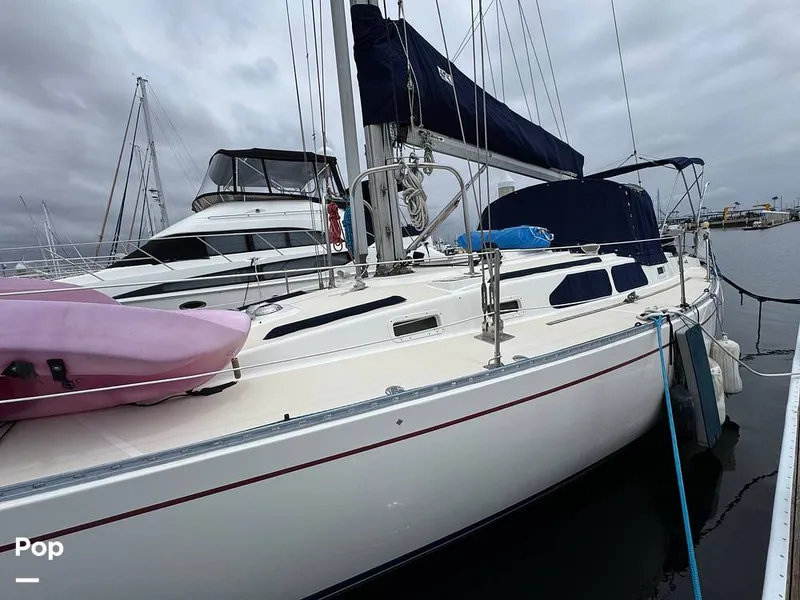 Slide: The Image of Morgan 45-4 Nelson-Marek 1985 - 15431607