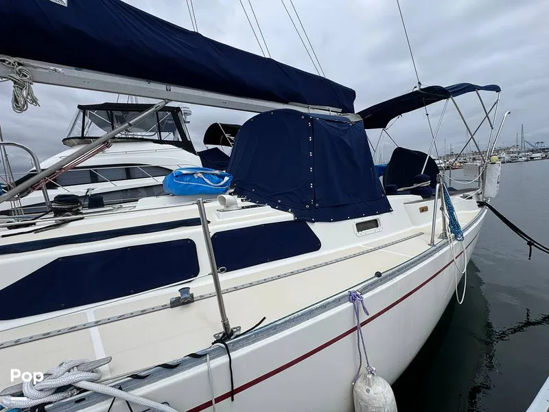 Slide: The Image of Morgan 45-4 Nelson-Marek 1985 - 15431608