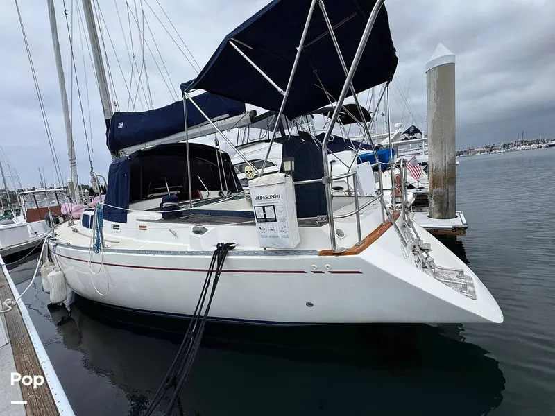 Slide: The Image of Morgan 45-4 Nelson-Marek 1985 - 15431610