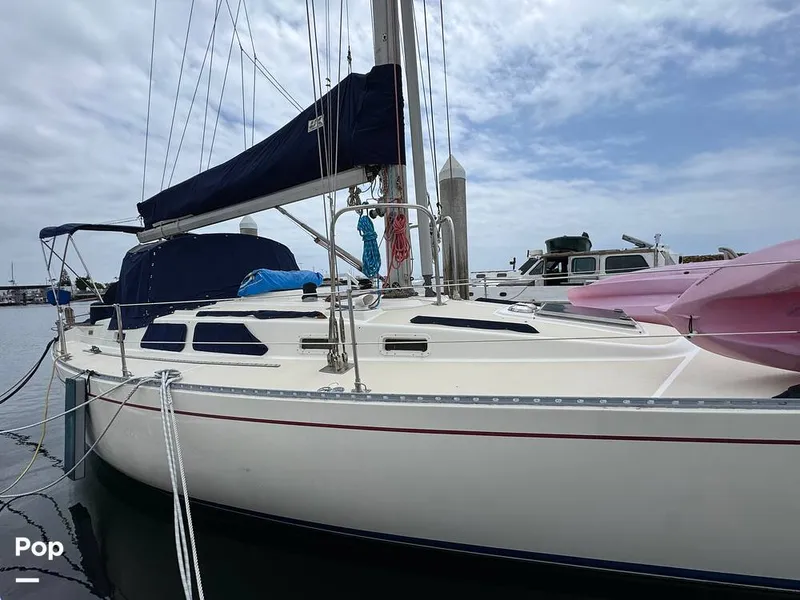 Slide: The Image of Morgan 45-4 Nelson-Marek 1985 - 15431614