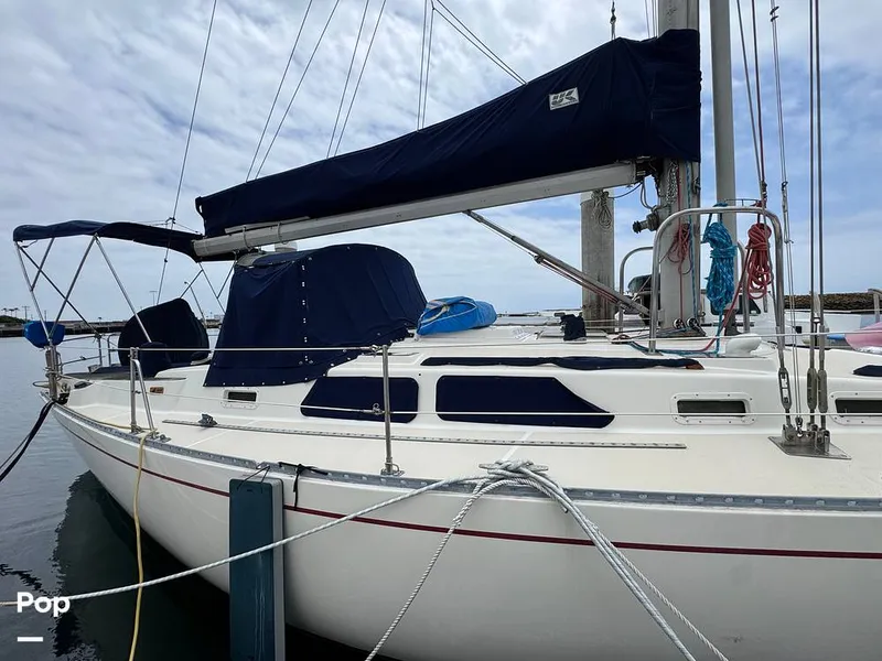 Slide: The Image of Morgan 45-4 Nelson-Marek 1985 - 15431615