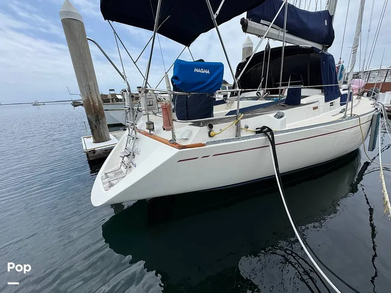 Slide: The Image of Morgan 45-4 Nelson-Marek 1985 - 15431618