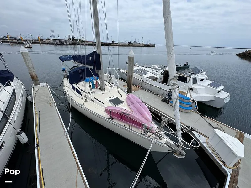 Slide: The Image of Morgan 45-4 Nelson-Marek 1985 - 15431622